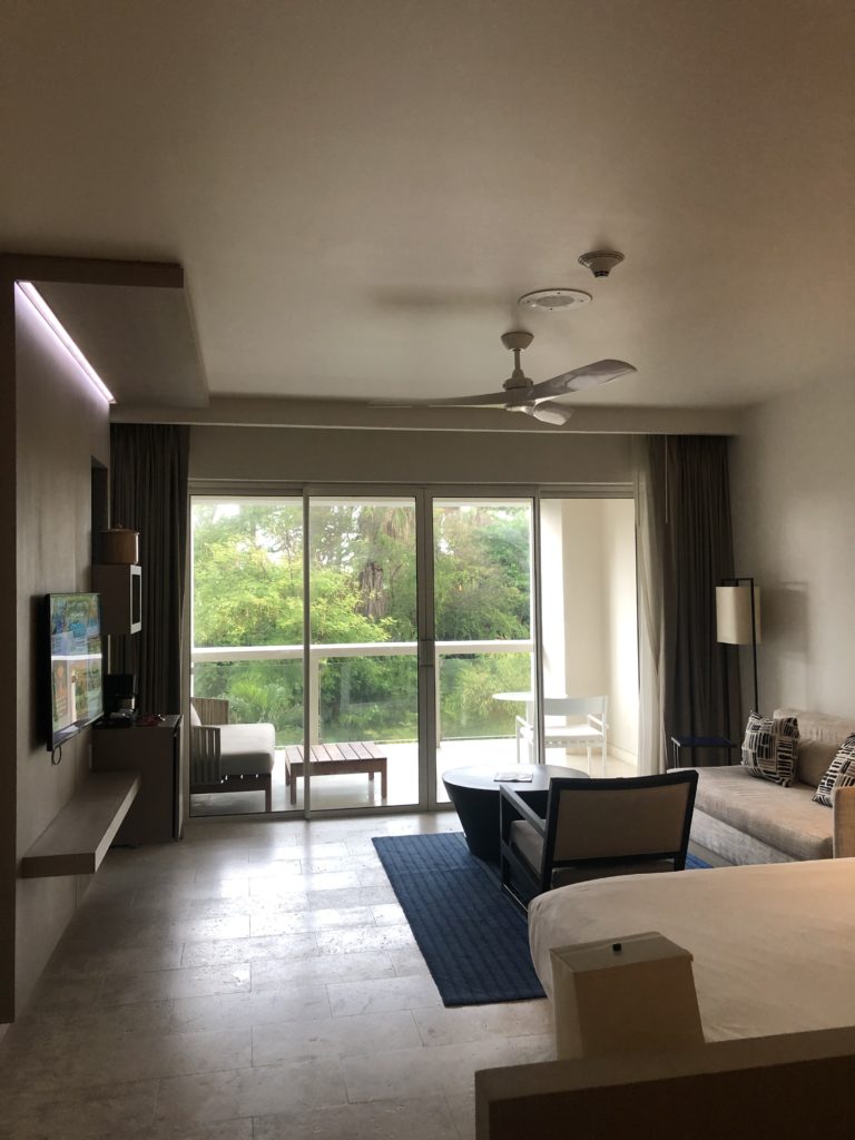 Hyatt Zilara Room