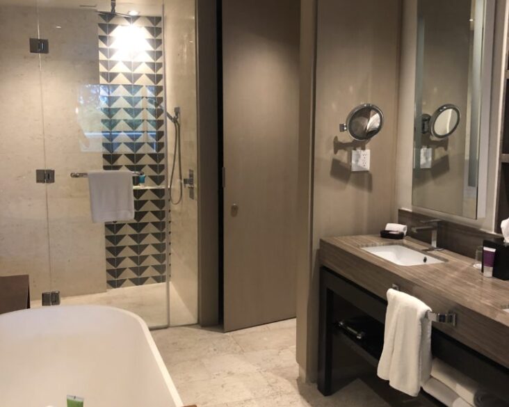 Hyatt Zilara Room