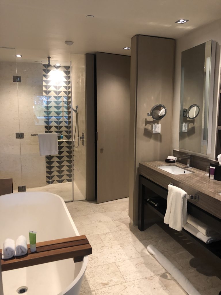 Hyatt Zilara Room